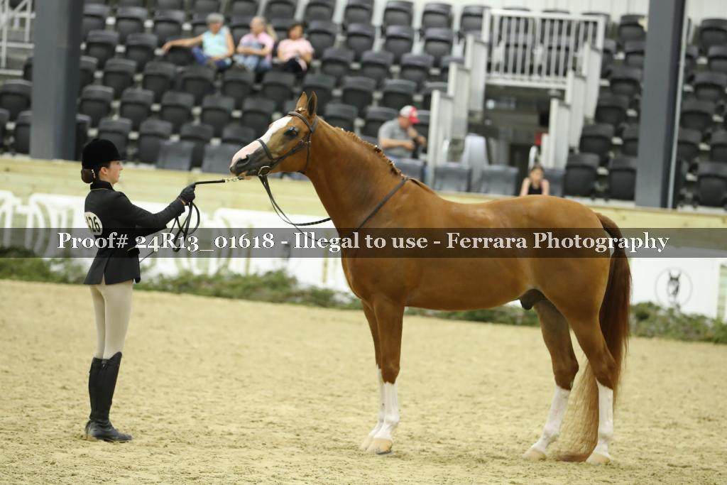 Proof 24R13_01618