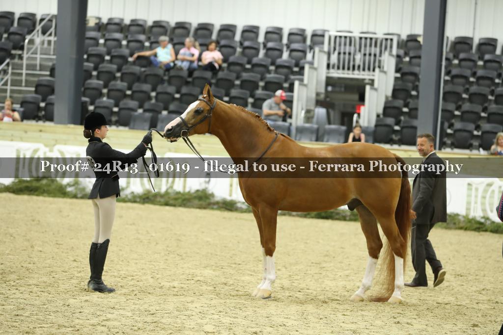 Proof 24R13_01619