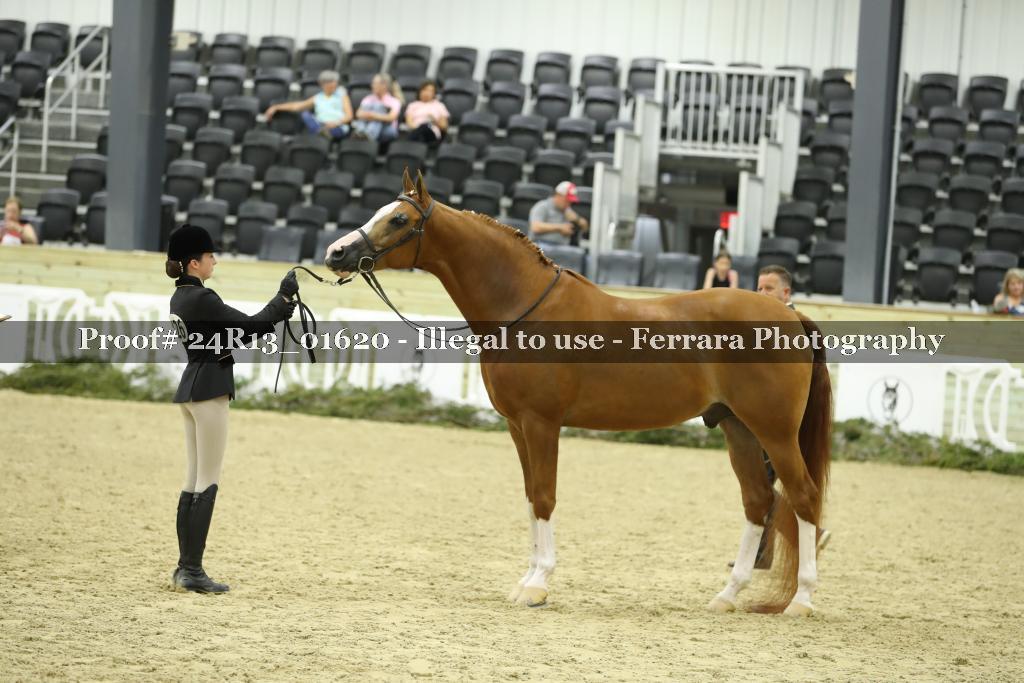 Proof 24R13_01620
