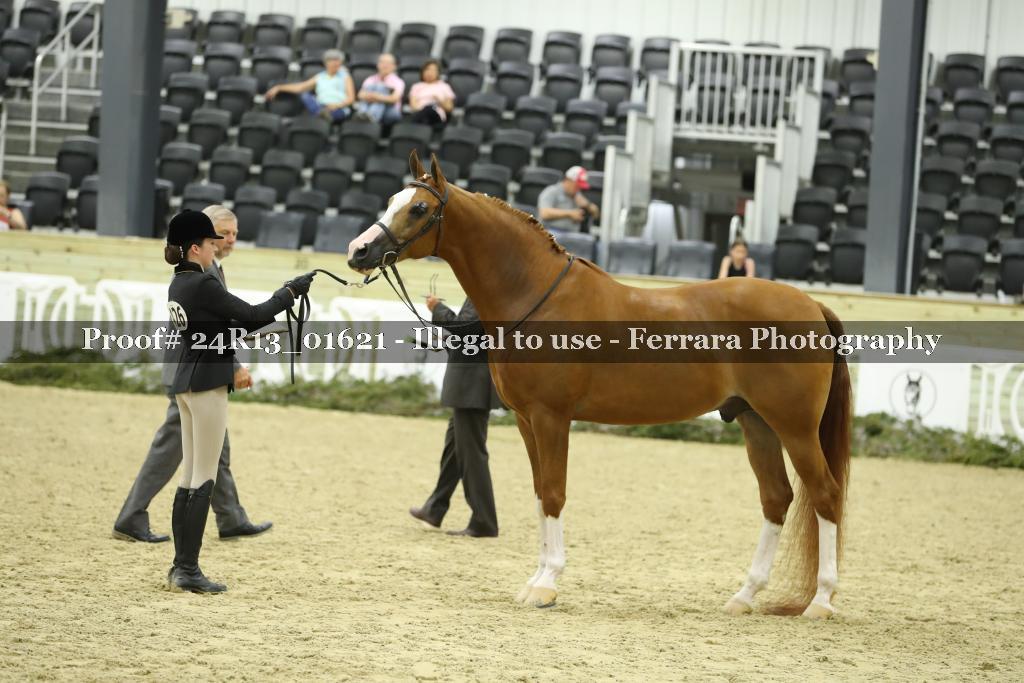 Proof 24R13_01621