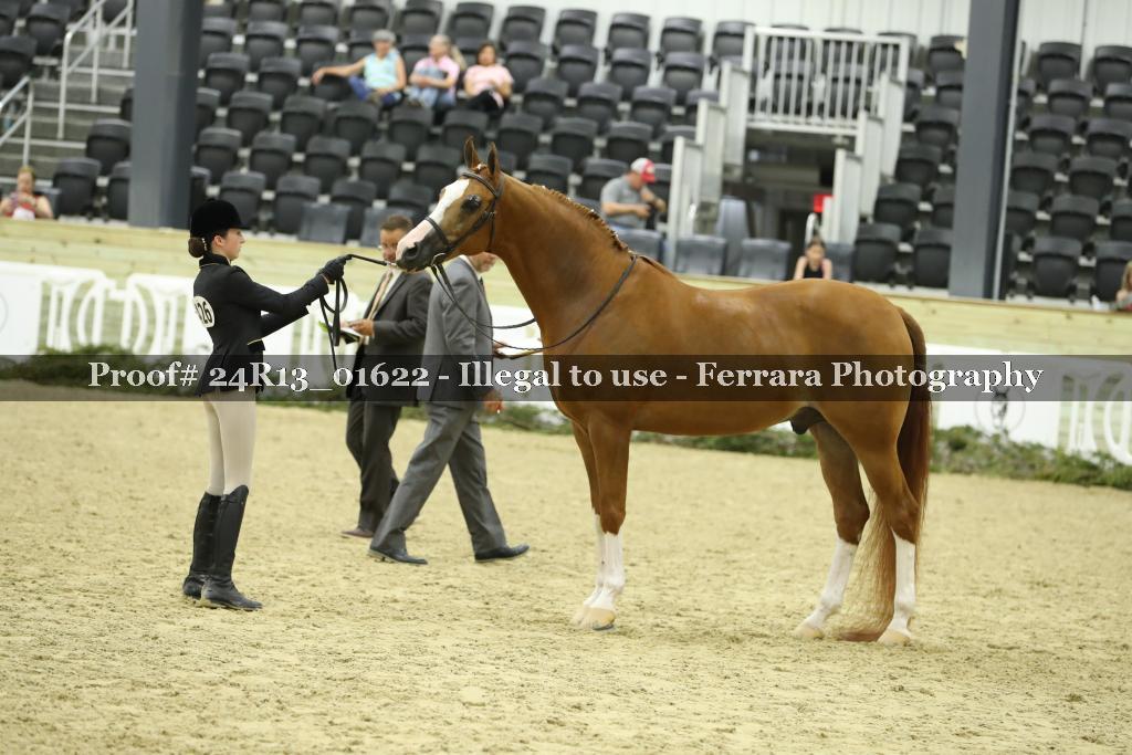 Proof 24R13_01622