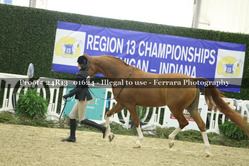 Proof 24R13_01624