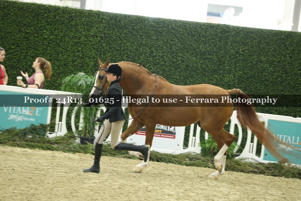 Proof 24R13_01625