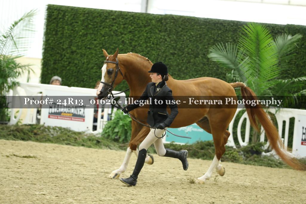 Proof 24R13_01626