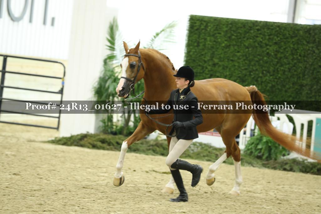 Proof 24R13_01627
