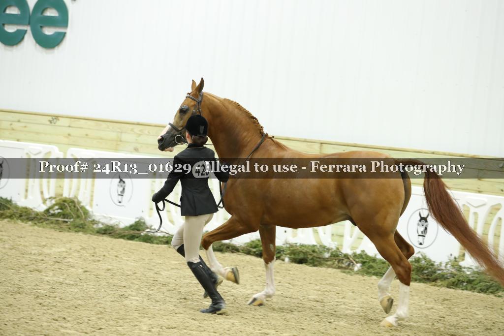 Proof 24R13_01629
