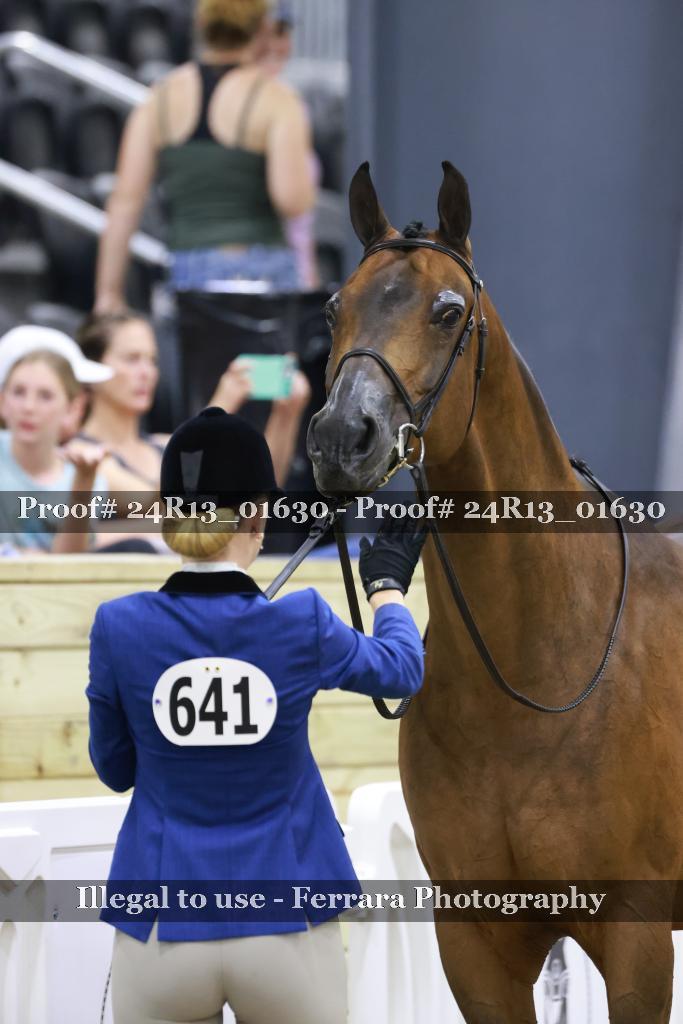Proof 24R13_01630