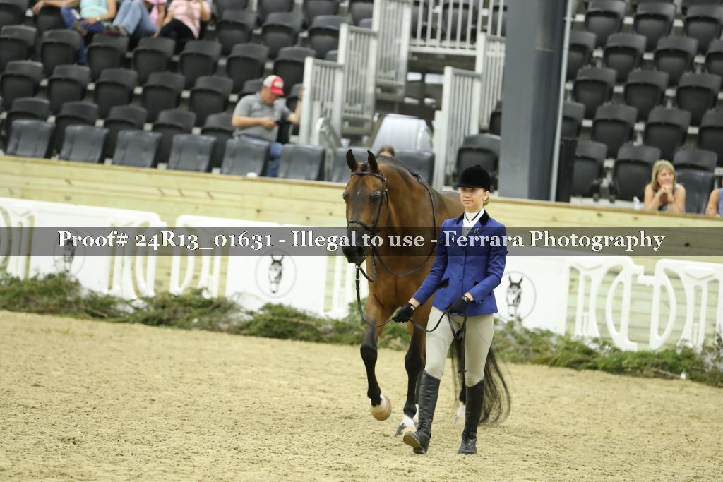 Proof 24R13_01631