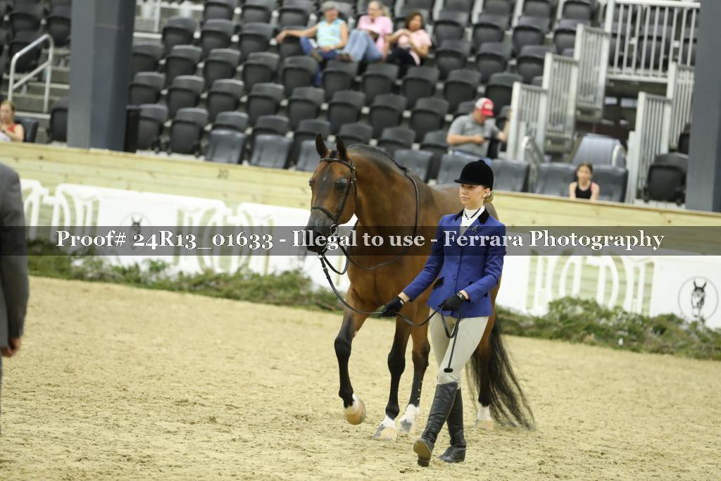 Proof 24R13_01633