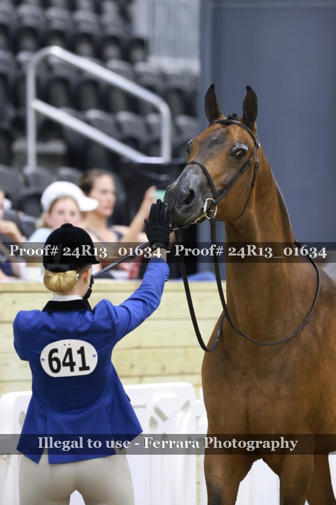 Proof 24R13_01634
