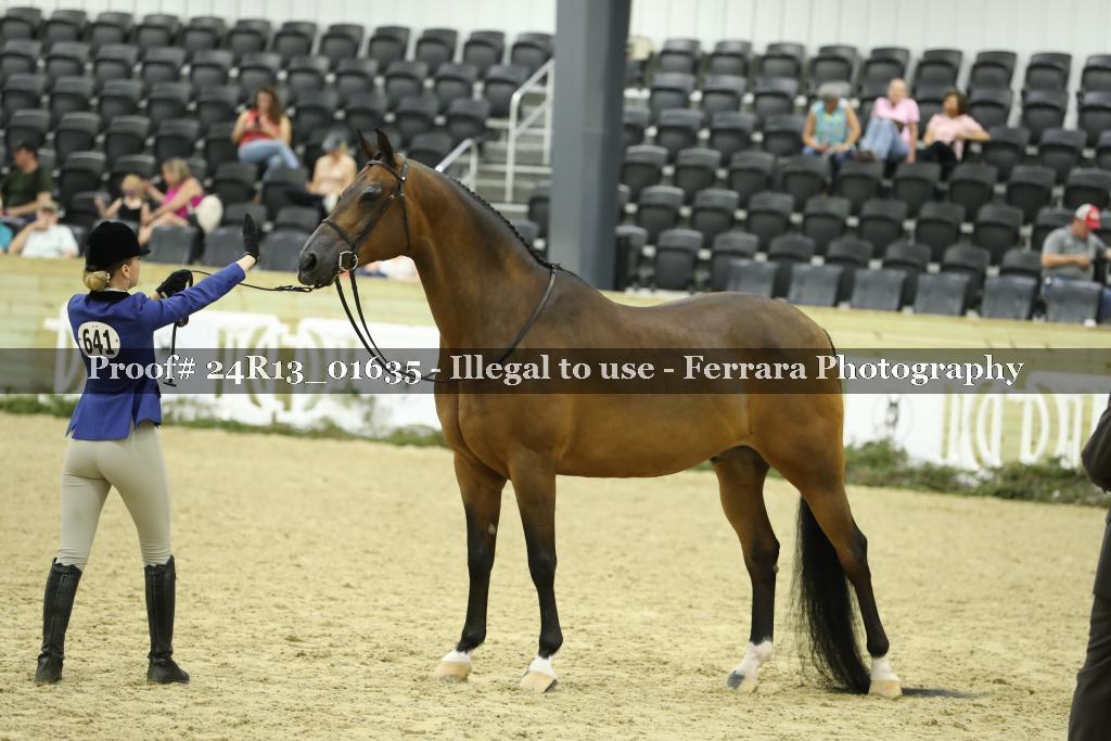 Proof 24R13_01635