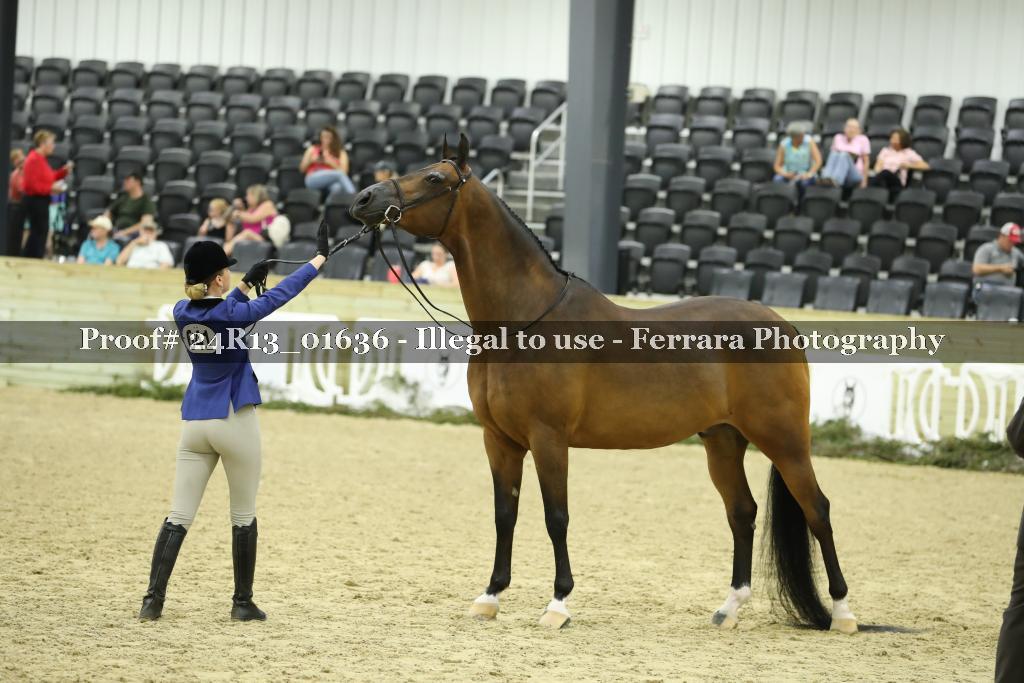 Proof 24R13_01636