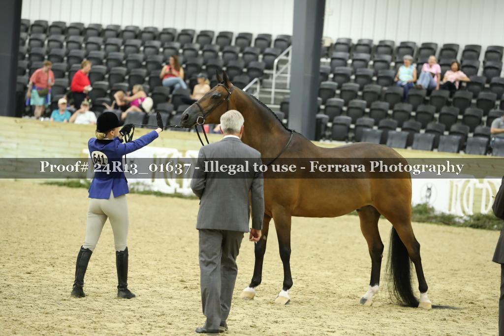 Proof 24R13_01637