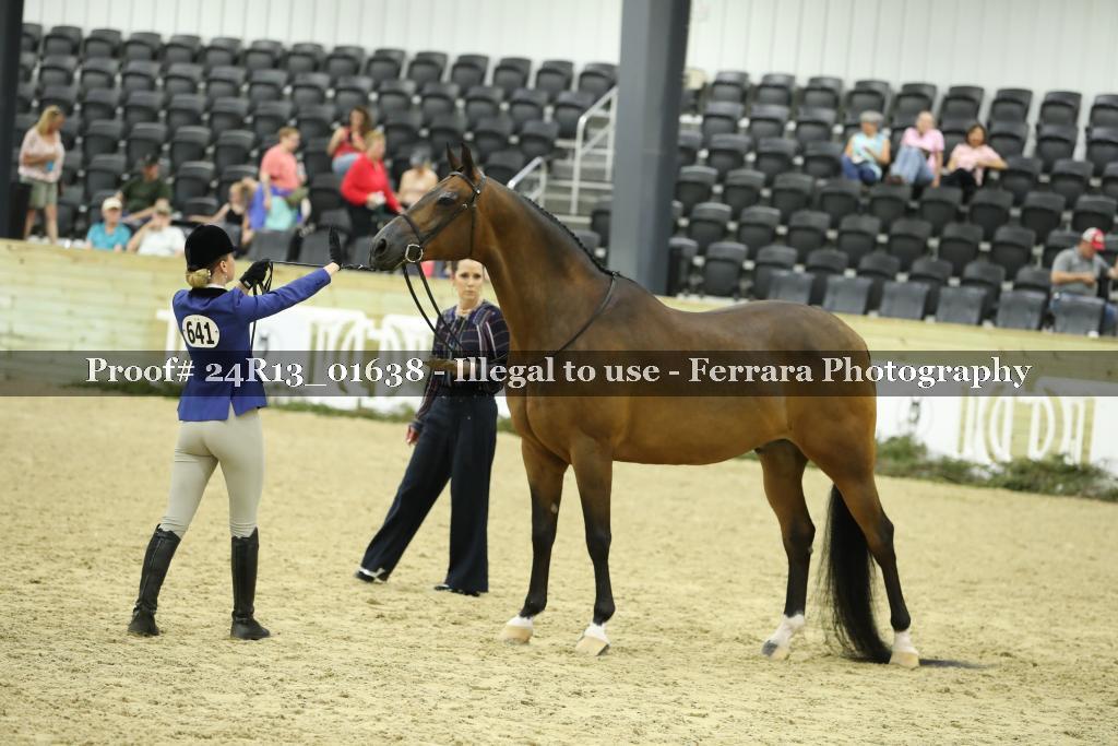 Proof 24R13_01638