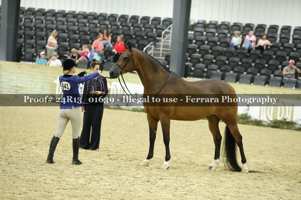 Proof 24R13_01639