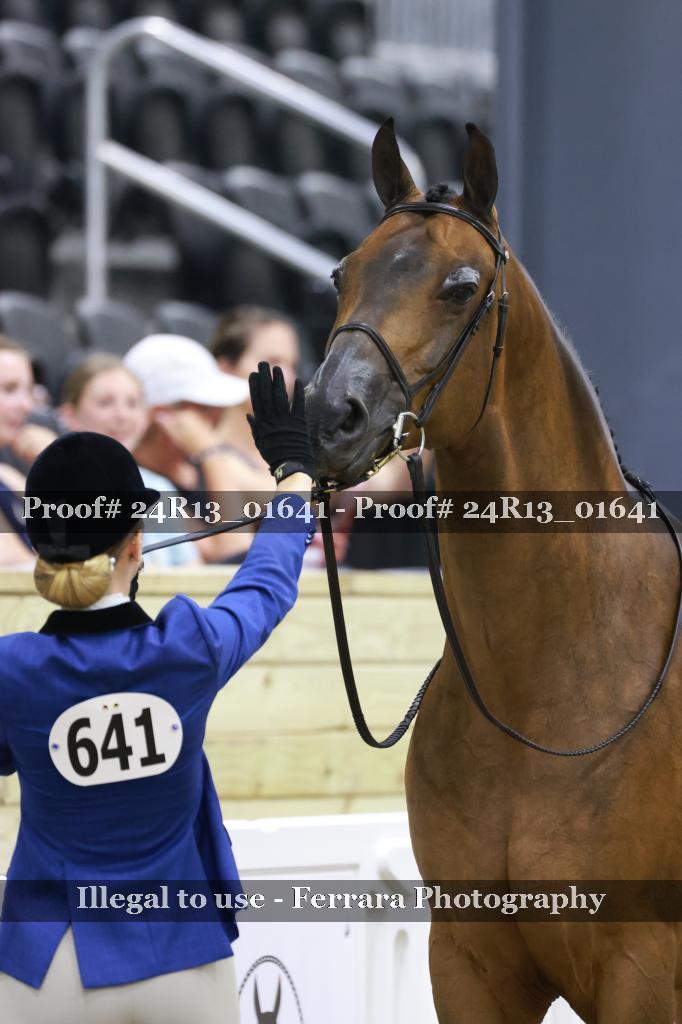 Proof 24R13_01641