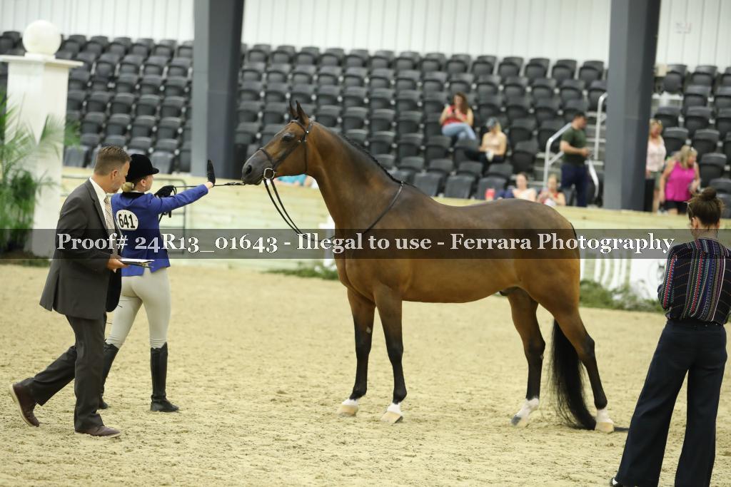 Proof 24R13_01643