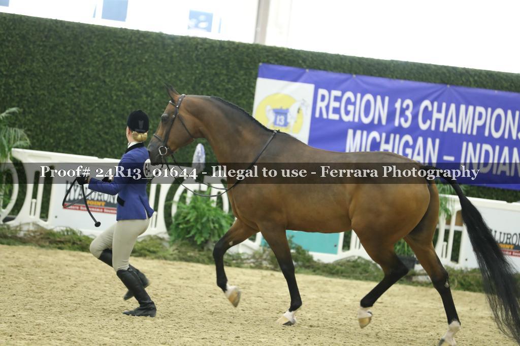Proof 24R13_01644