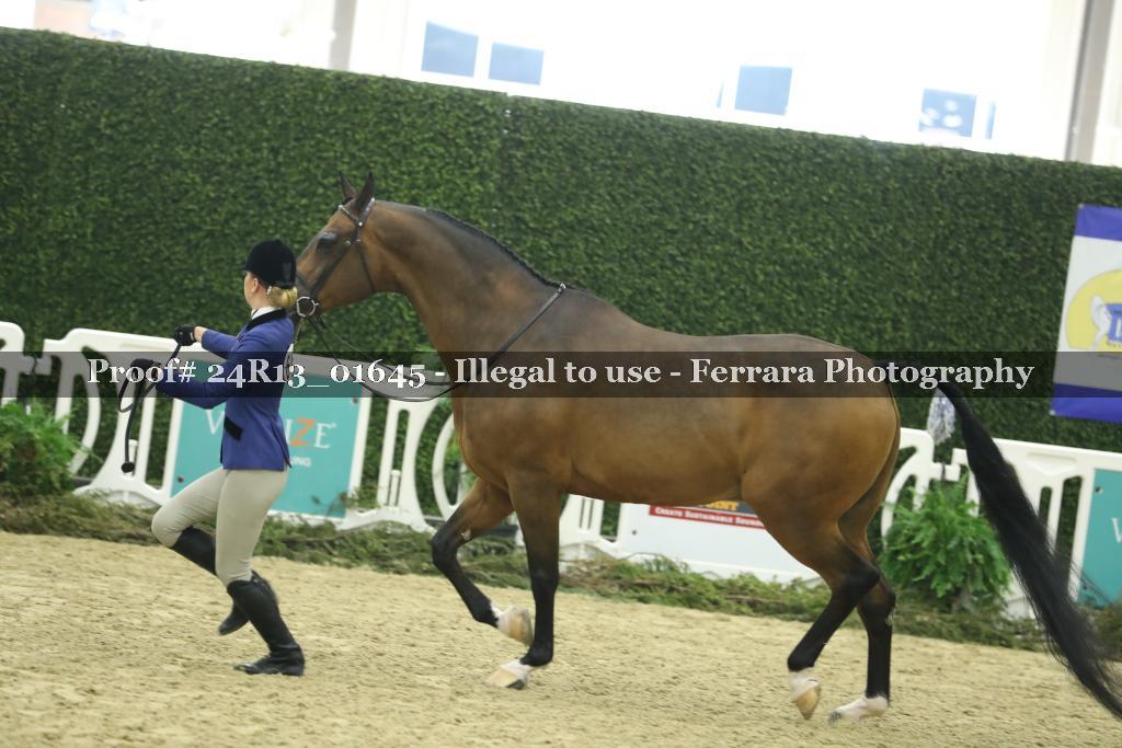 Proof 24R13_01645