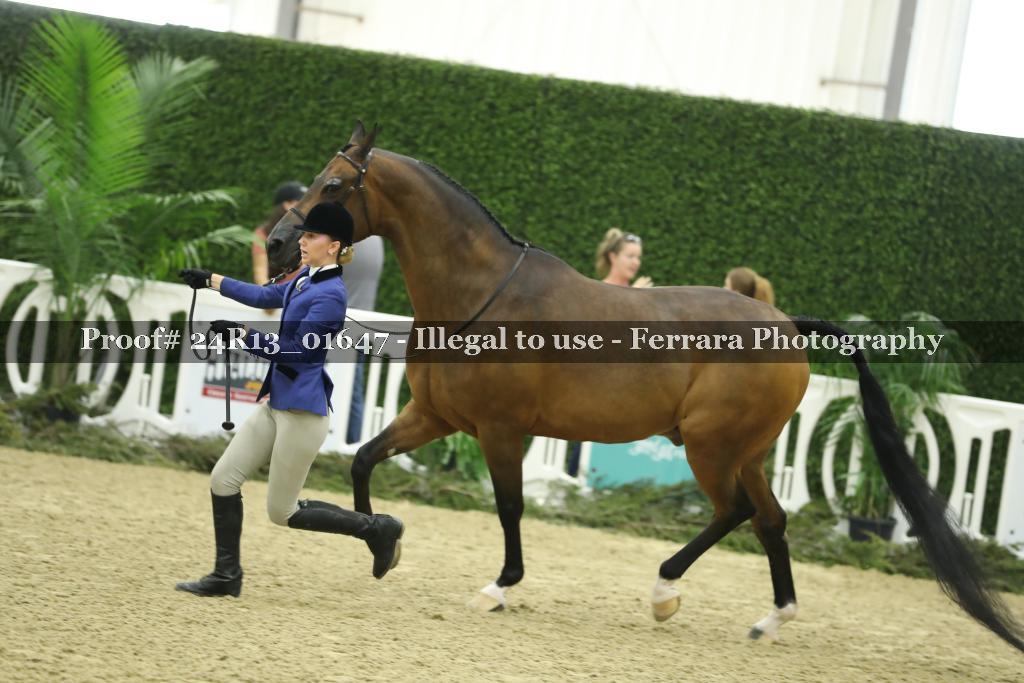 Proof 24R13_01647
