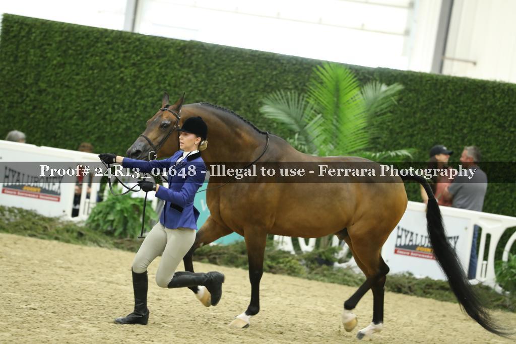 Proof 24R13_01648