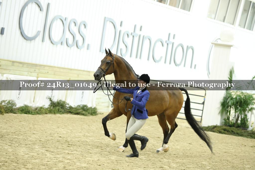 Proof 24R13_01649