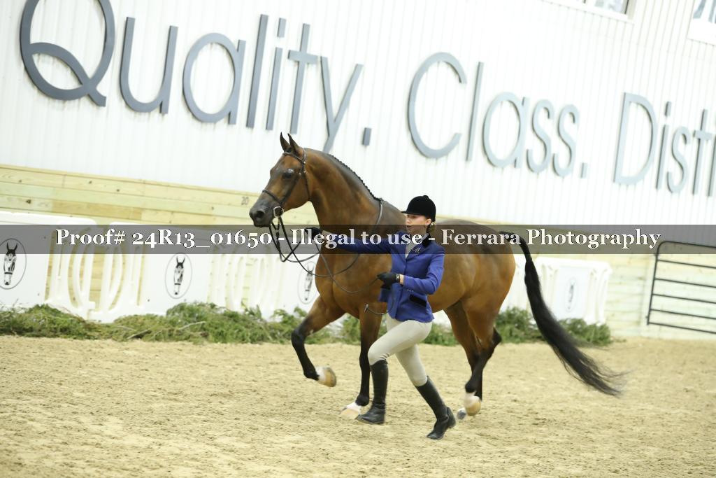 Proof 24R13_01650
