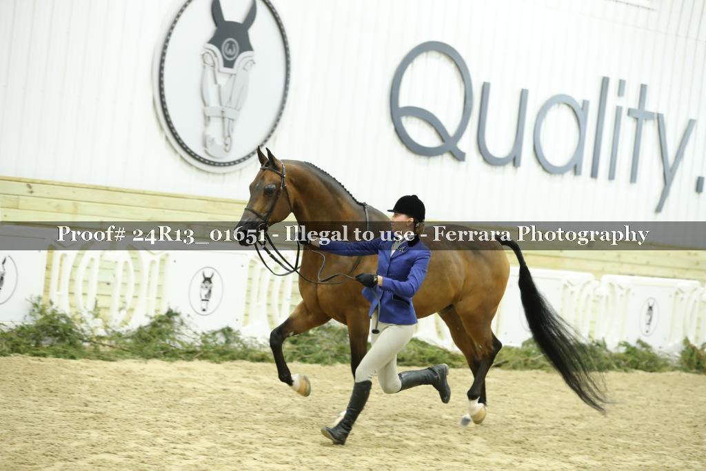 Proof 24R13_01651