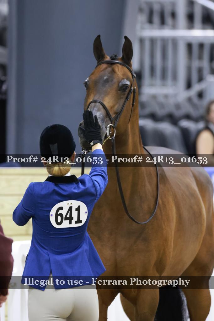Proof 24R13_01653