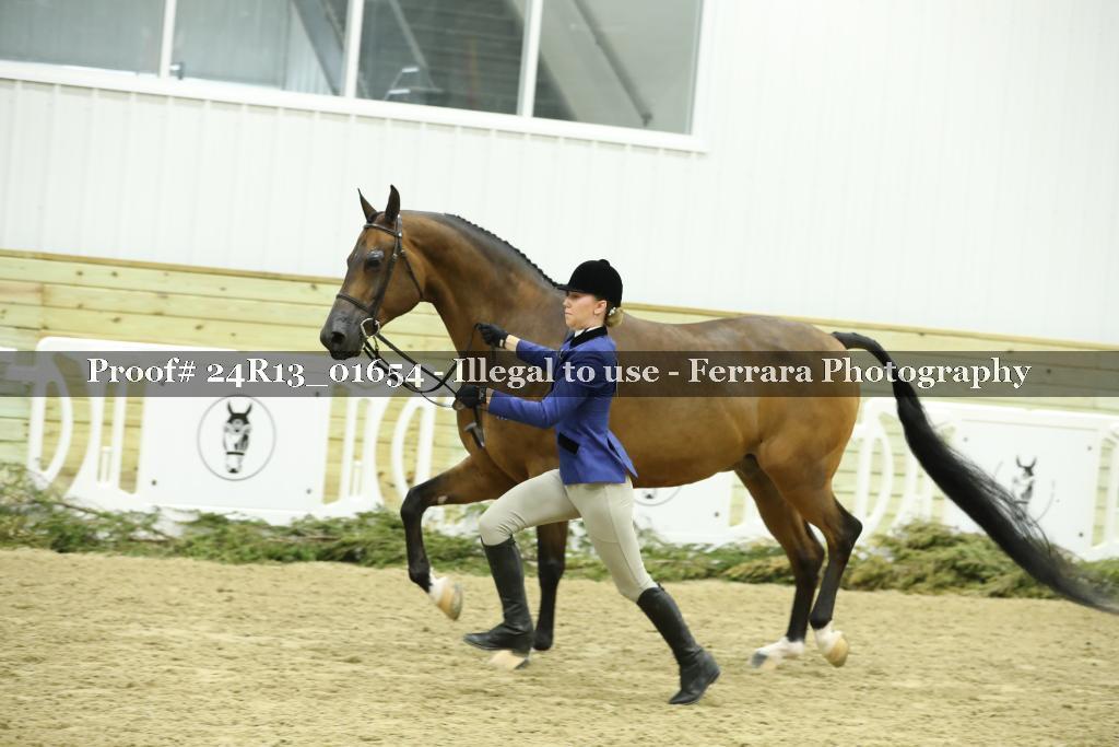 Proof 24R13_01654