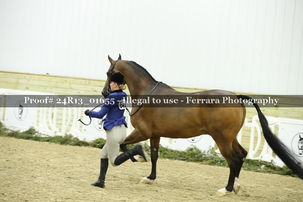 Proof 24R13_01655