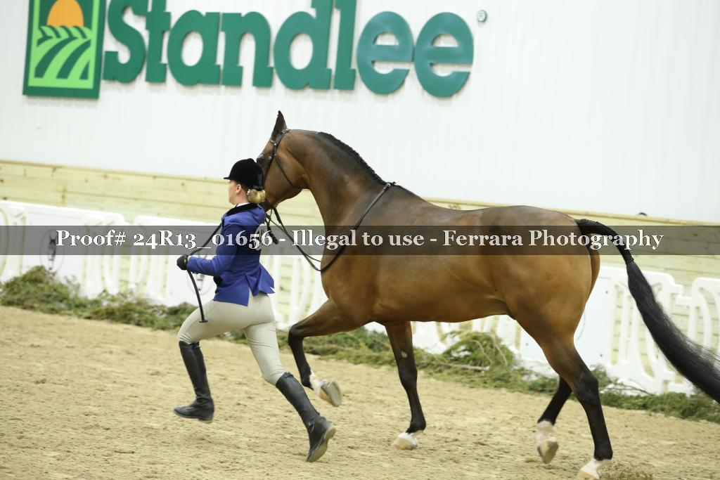 Proof 24R13_01656