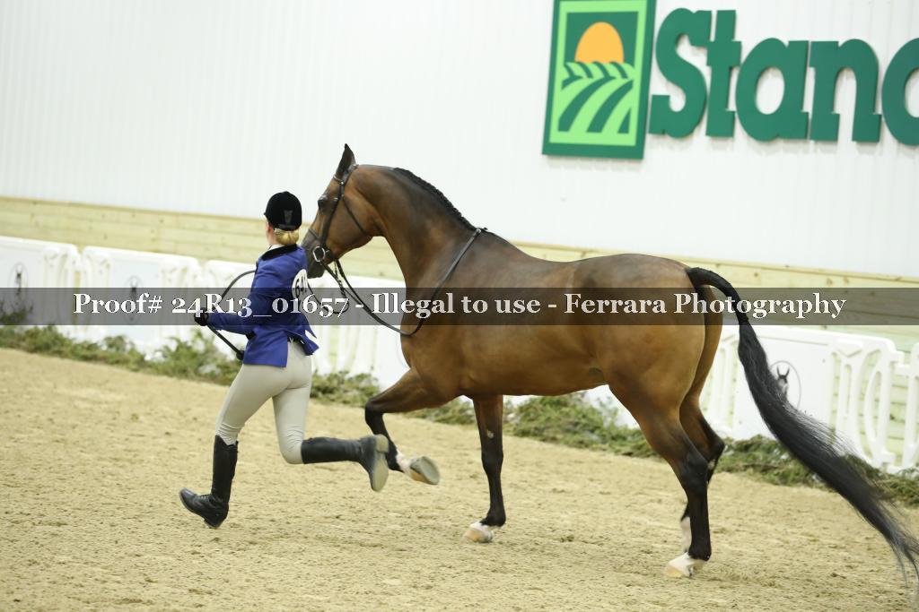 Proof 24R13_01657
