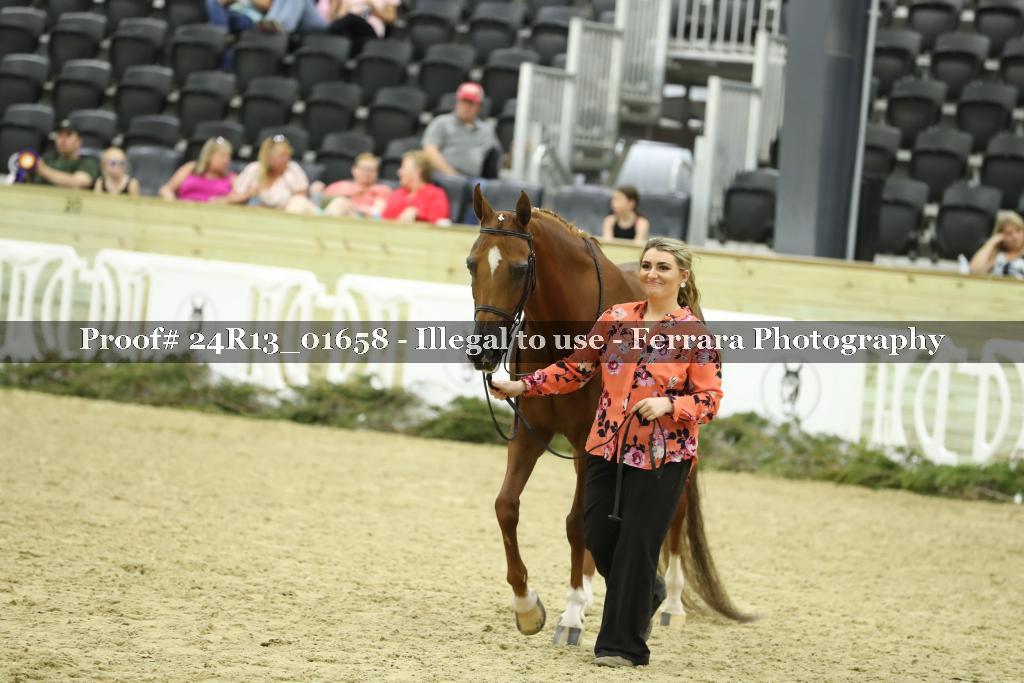 Proof 24R13_01658