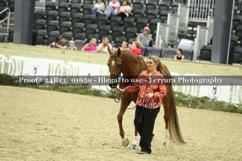 Proof 24R13_01659