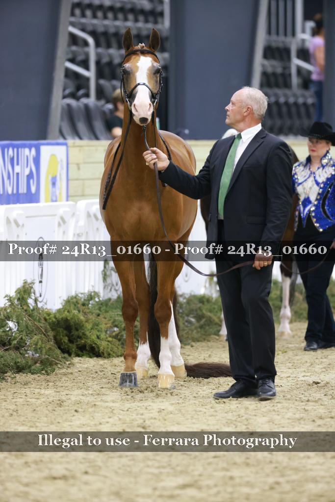 Proof 24R13_01660
