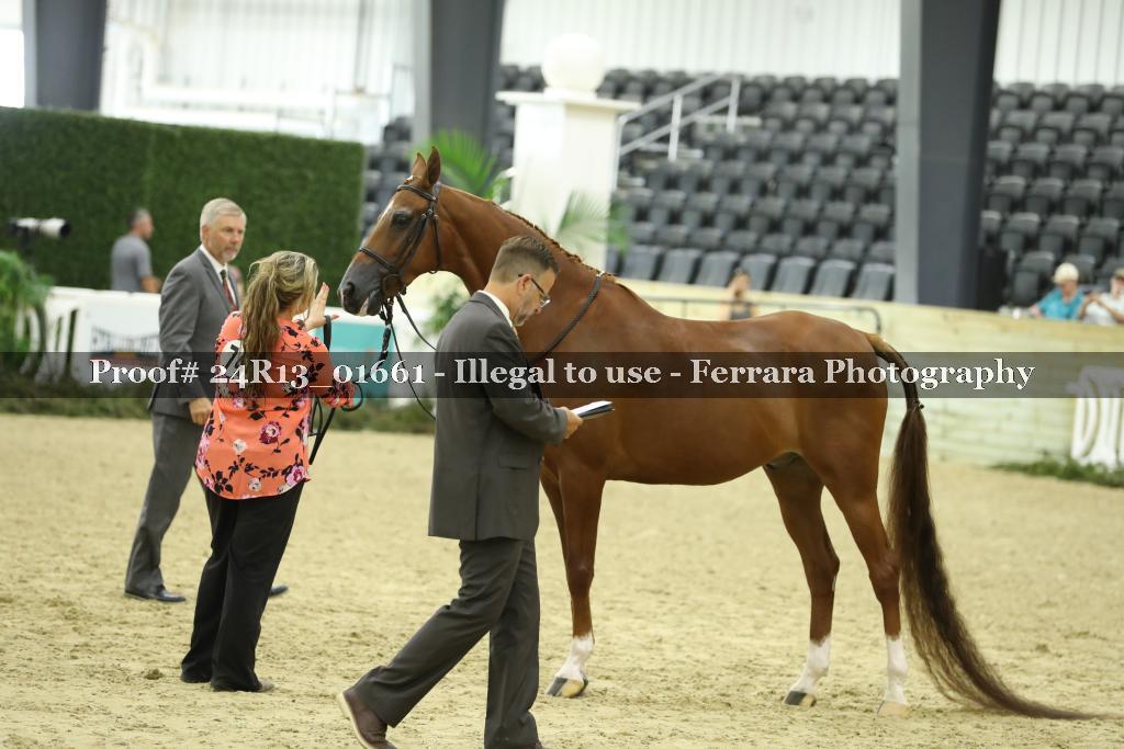 Proof 24R13_01661