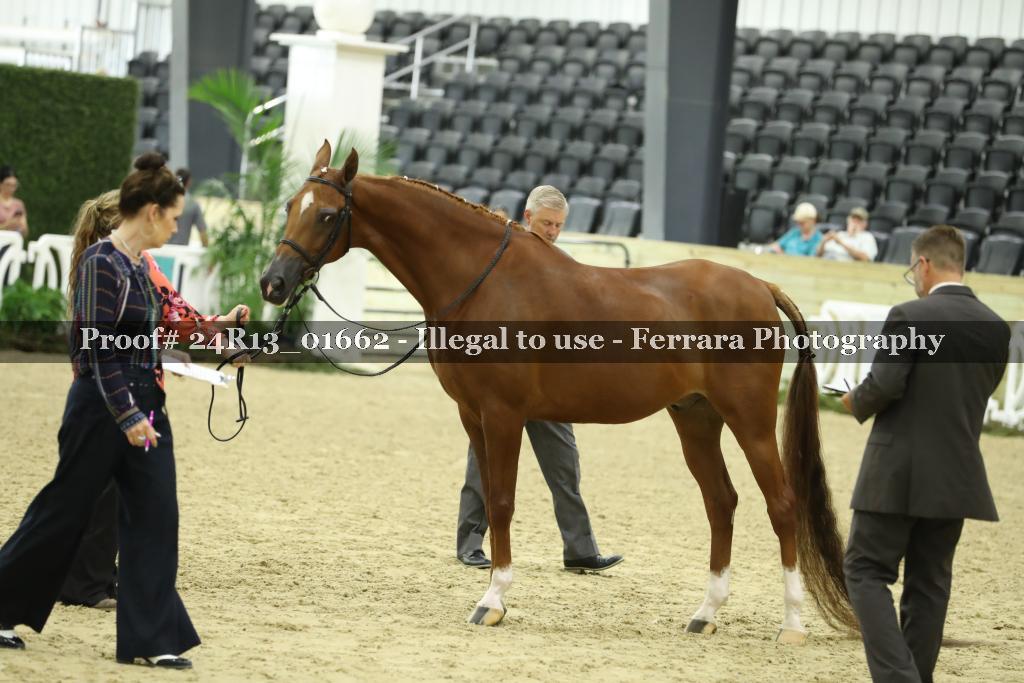 Proof 24R13_01662
