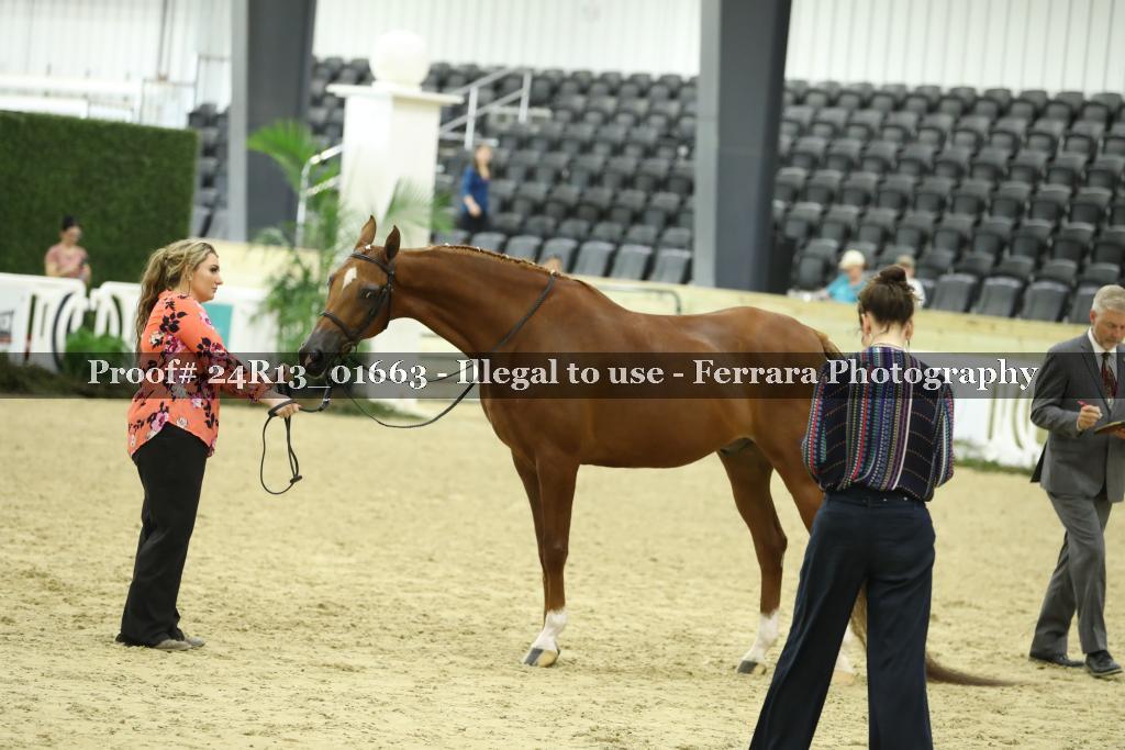Proof 24R13_01663