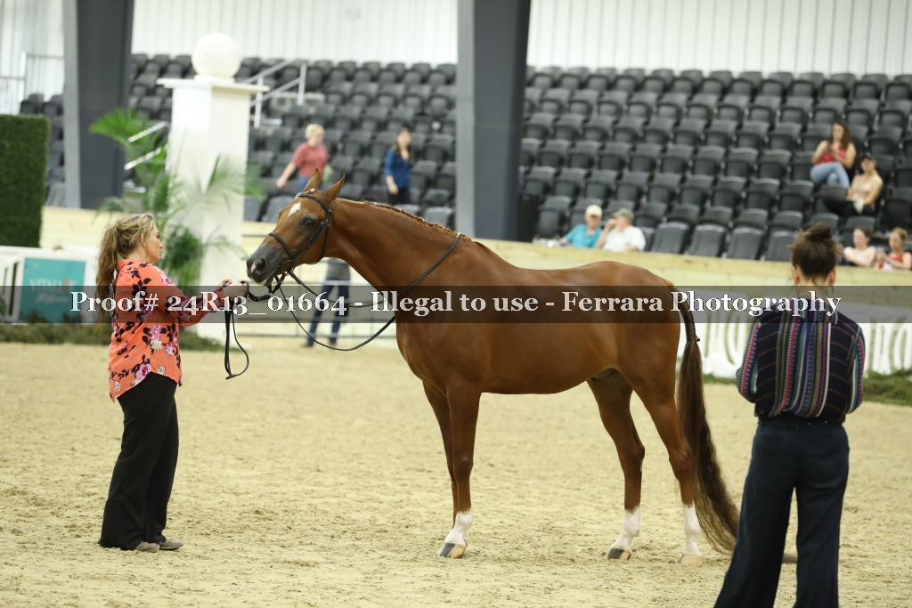 Proof 24R13_01664