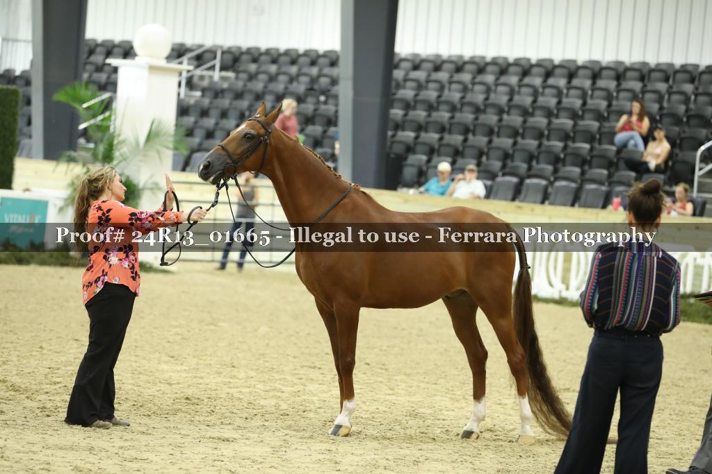 Proof 24R13_01665