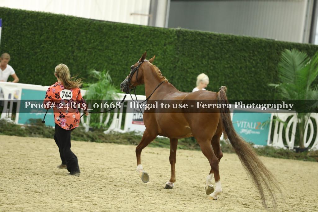 Proof 24R13_01668