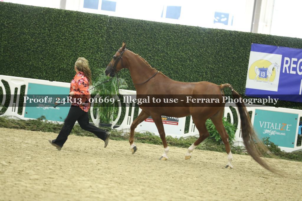 Proof 24R13_01669