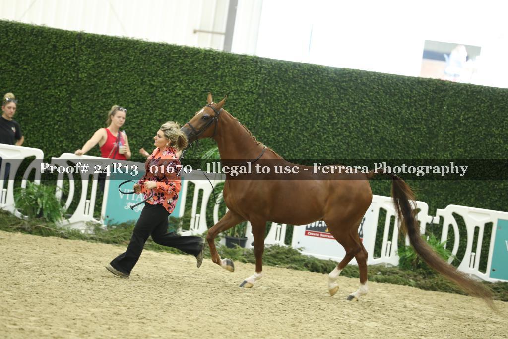 Proof 24R13_01670