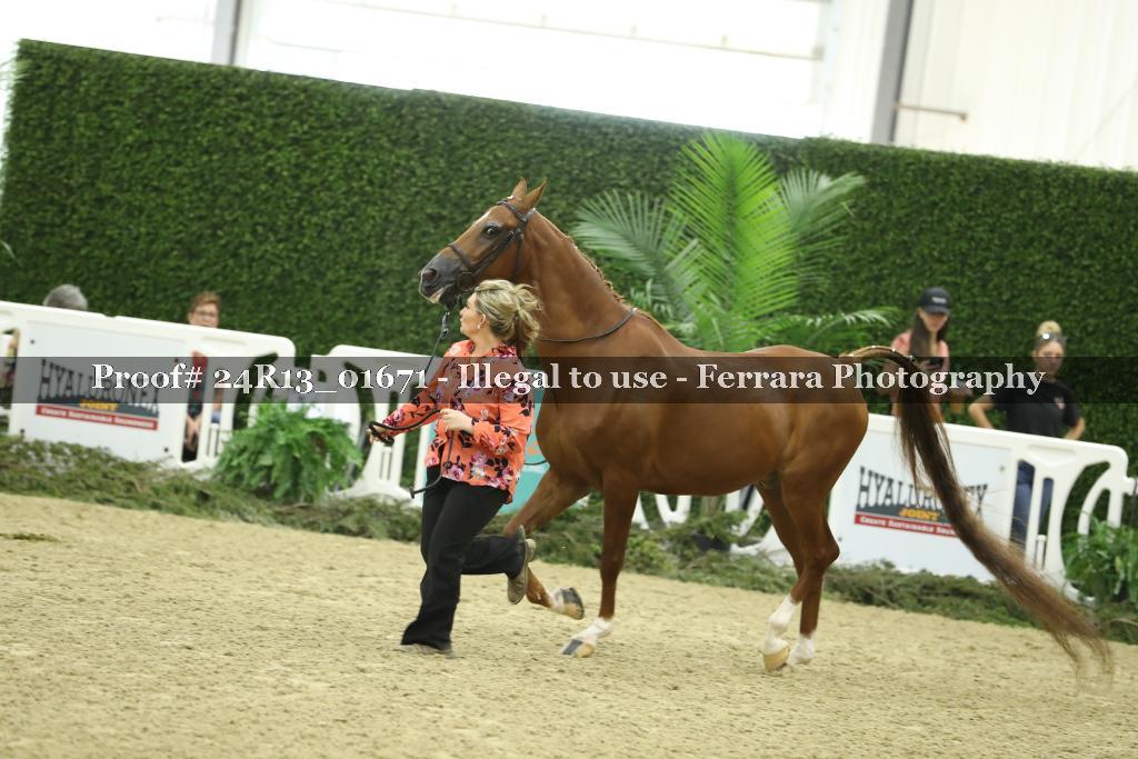 Proof 24R13_01671