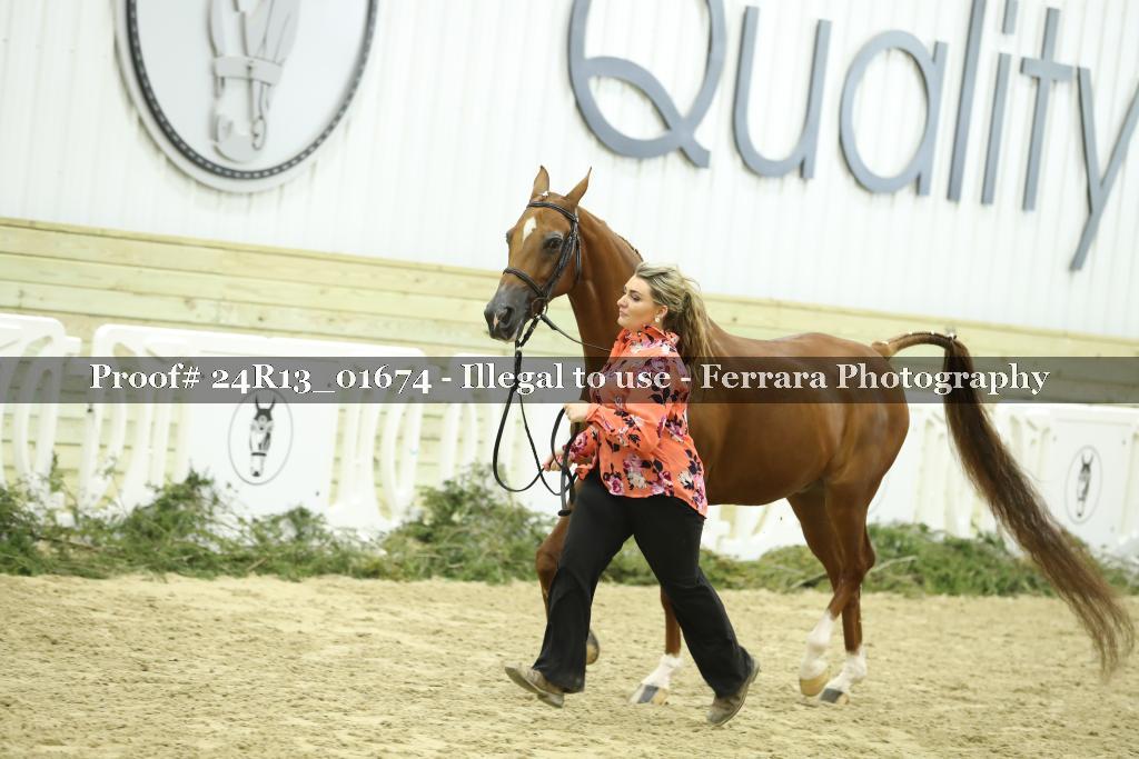 Proof 24R13_01674
