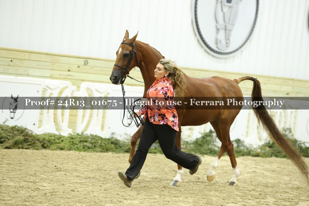 Proof 24R13_01675