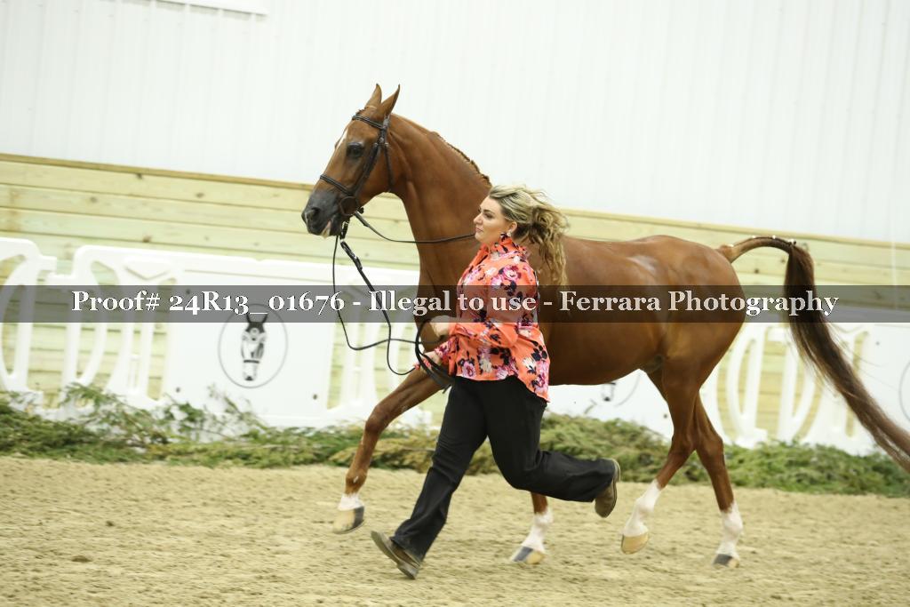 Proof 24R13_01676