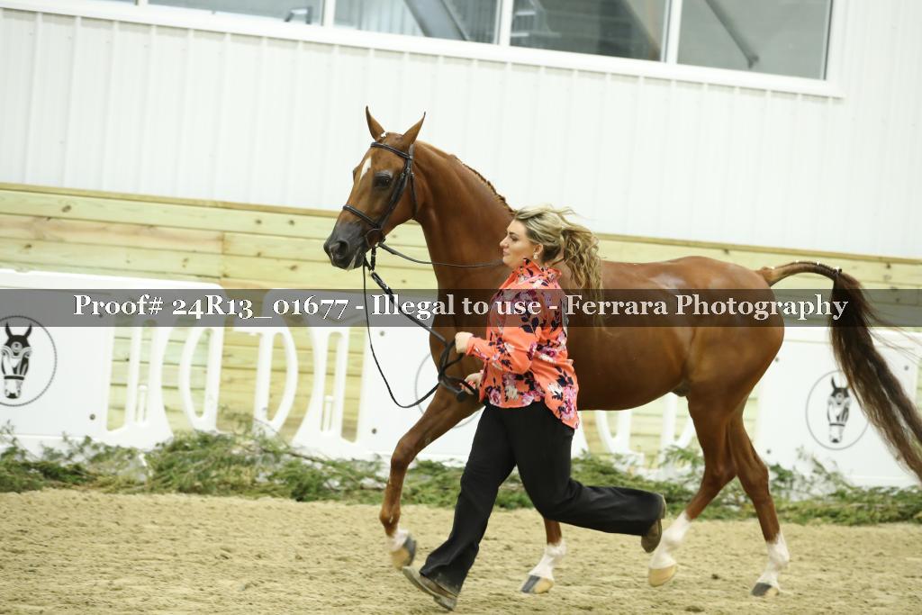 Proof 24R13_01677