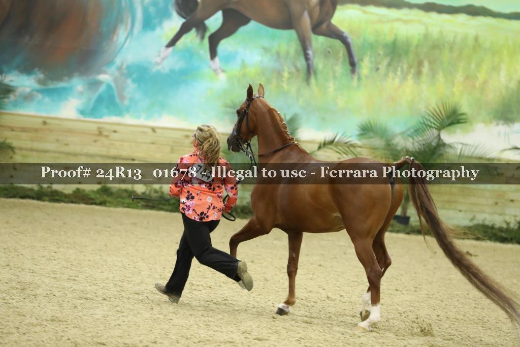 Proof 24R13_01678